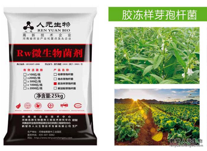 胶冻样芽孢杆菌剂